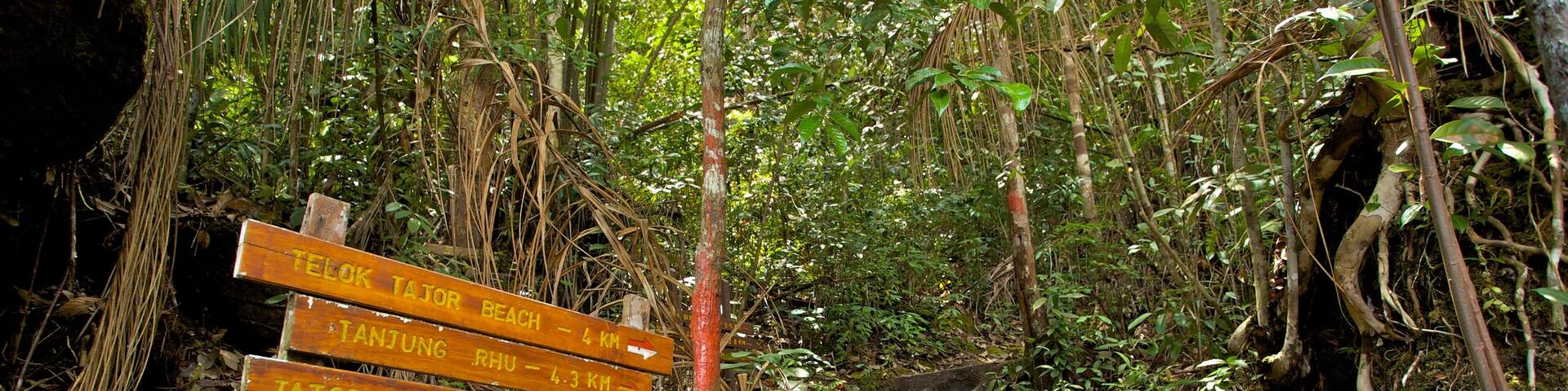 Bako National Park which includes signage, forests and a park