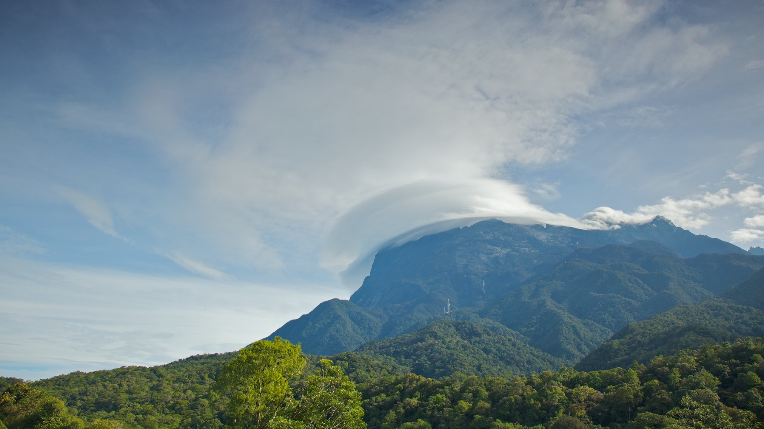 Kinabalu National Park showing mountains and tranquil scenes
