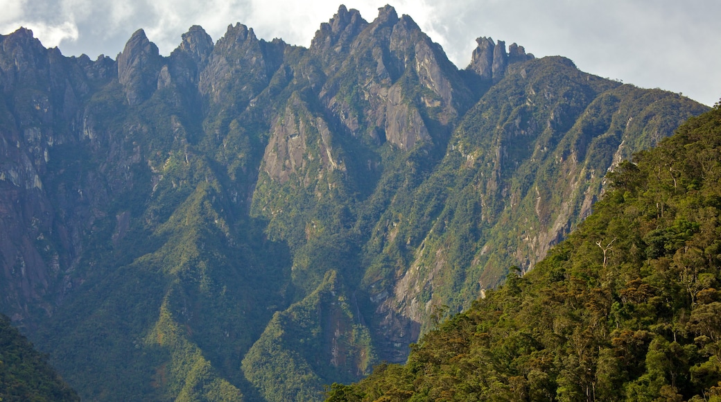 Kota Kinabalu ofreciendo montañas y vistas panorámicas