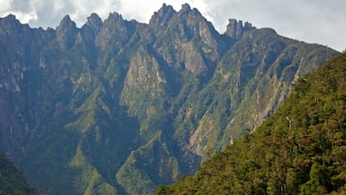 亞庇 呈现出 山 和 山水美景