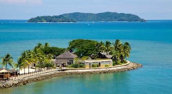 Kota Kinabalu showing a coastal town, tropical scenes and island images