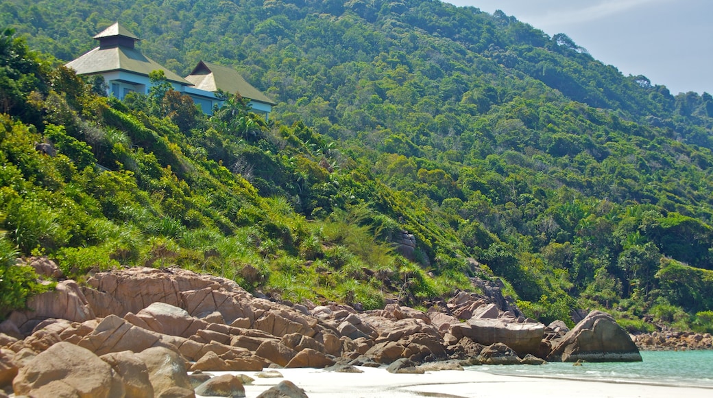 レダン島 表示 自然の風景
