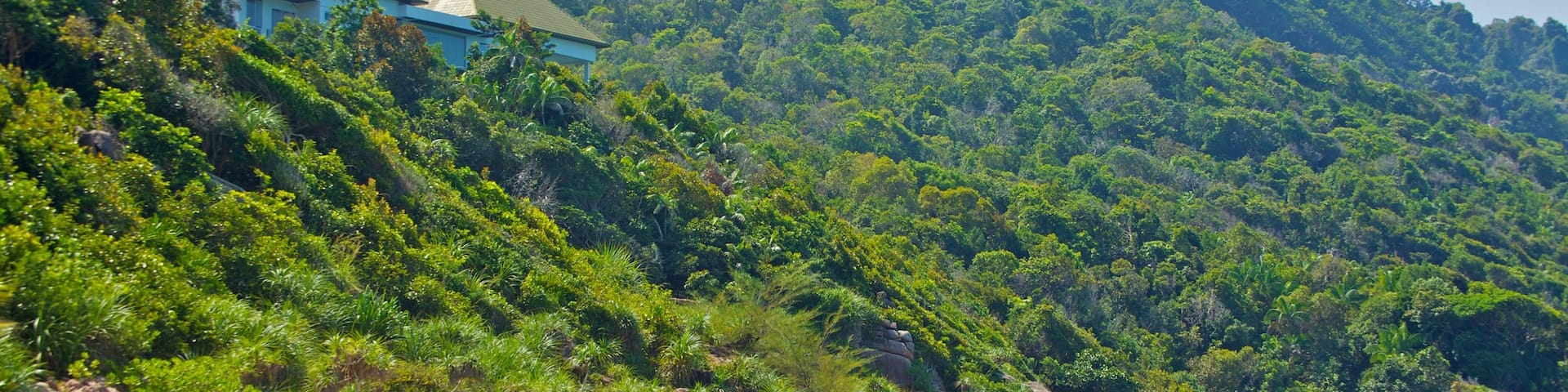 Redang Island featuring landscape views