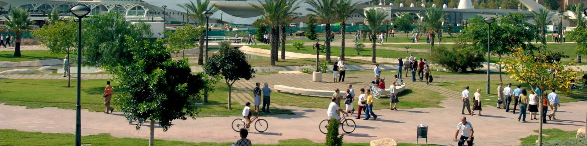 Queen Sofia Palace of the Arts which includes a castle, cycling and a city