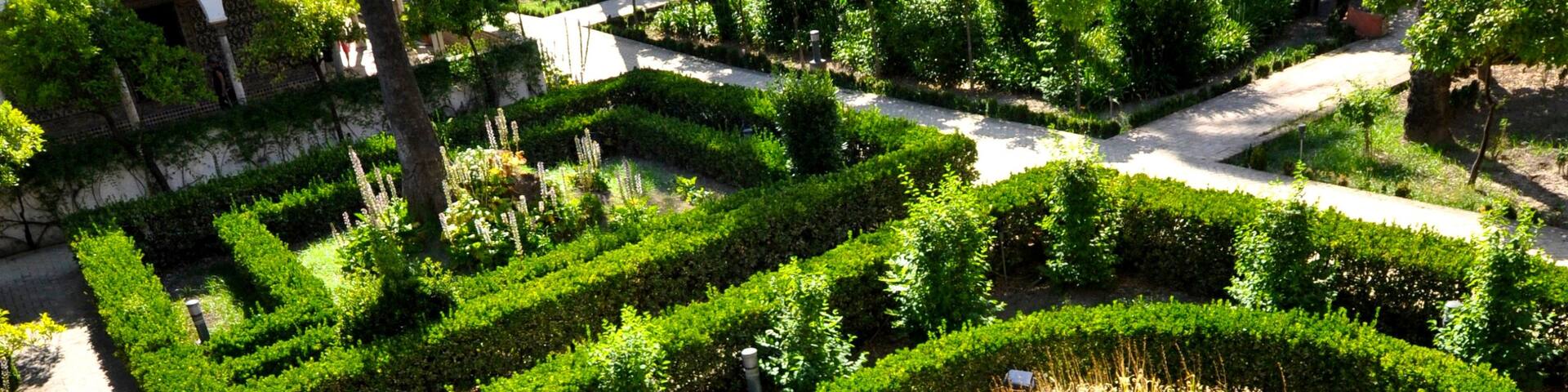 Alcazar showing a garden