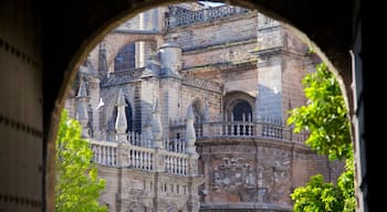 Alcazar som inkluderar chateau eller palats och historisk arkitektur