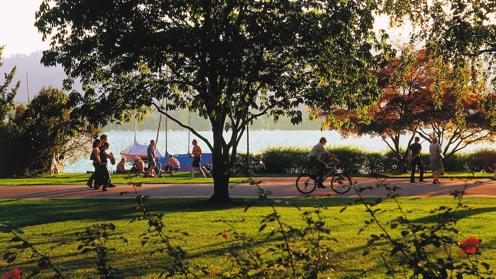 ZĂŒrichsee das einen Fahrradfahren, Garten und See oder Wasserstelle