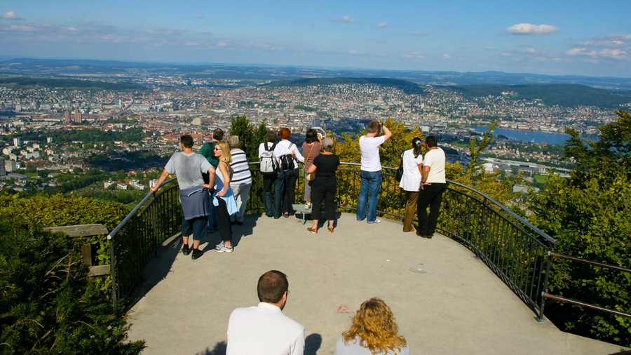Zúrich mostrando una ciudad y vistas y también un gran grupo de personas