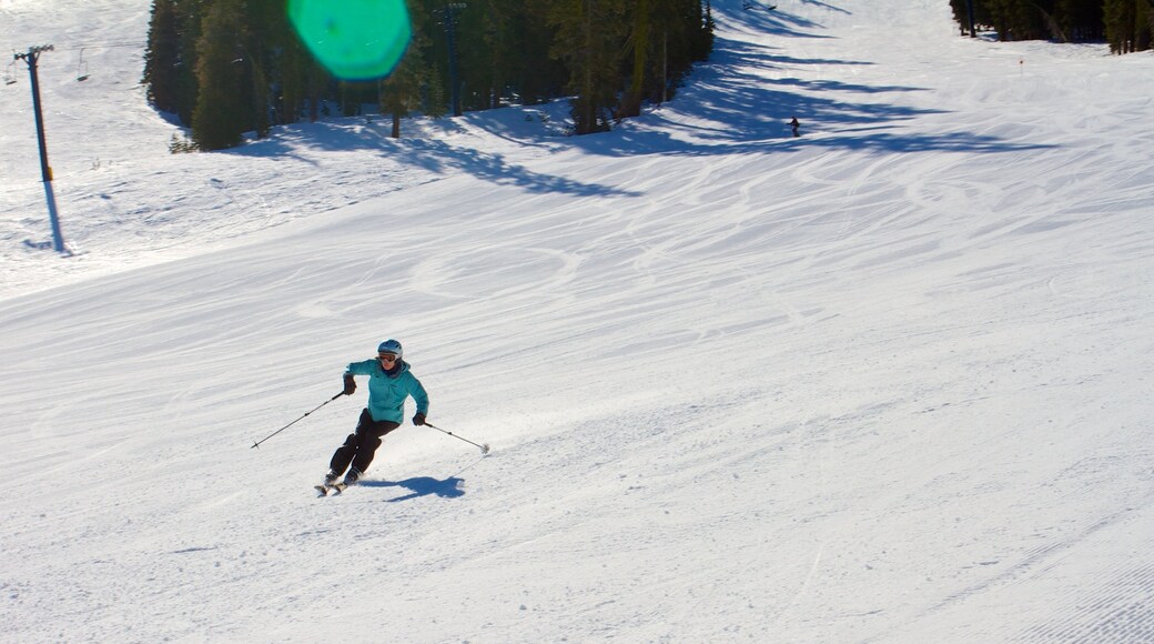 Sugar Bowl which includes snow skiing, mountains and snow