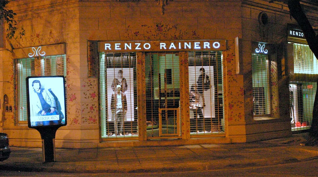 Palermo Soho showing shopping, night scenes and signage