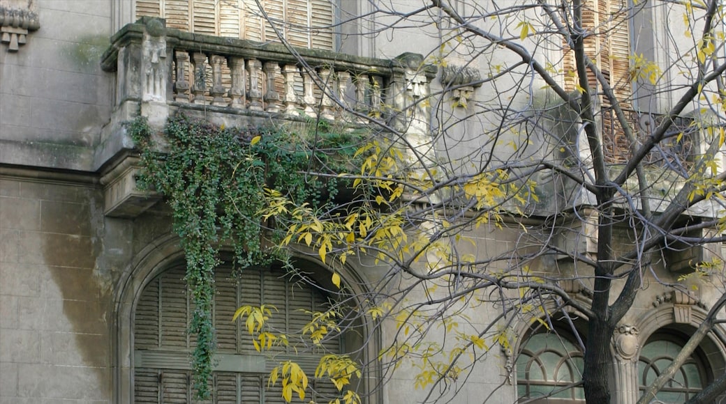 Palermo Soho toont een huis en historische architectuur