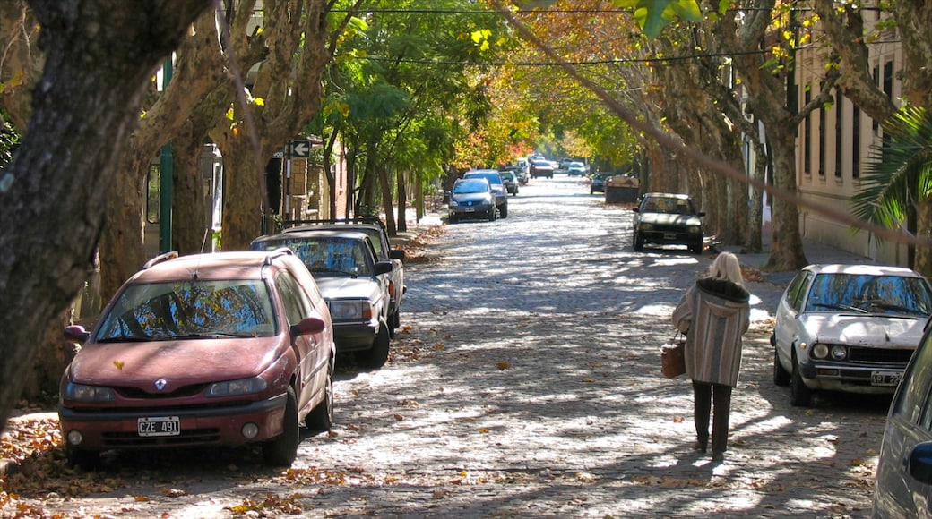 Palermo Soho mostrando strade cosi come ragazza