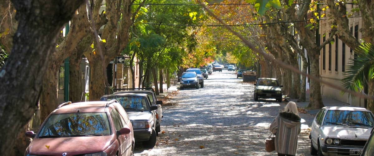 Palermo Soho ofreciendo escenas urbanas y también una mujer