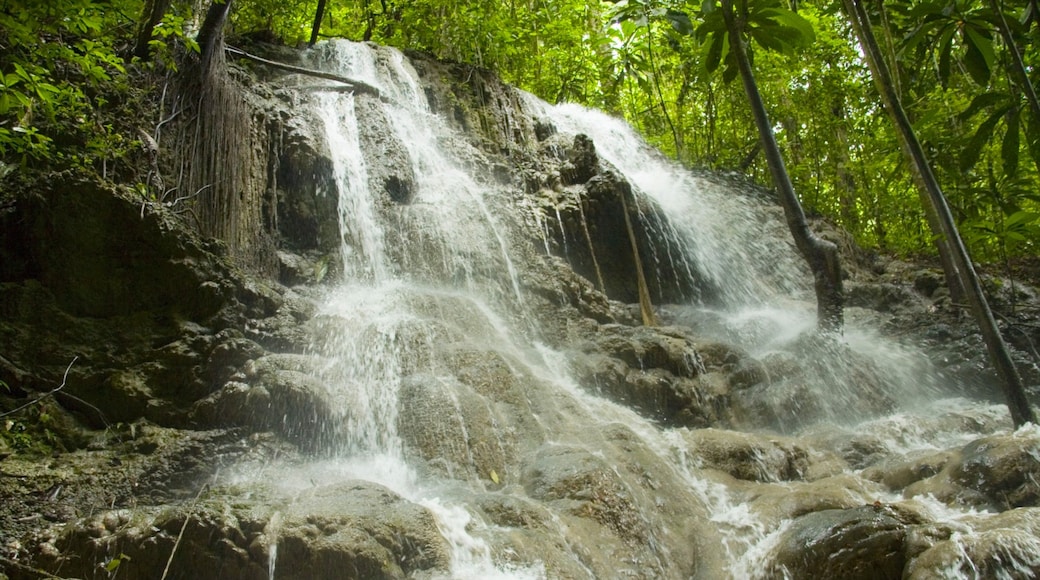 Somerset Falls in Portland | Expedia.co.uk