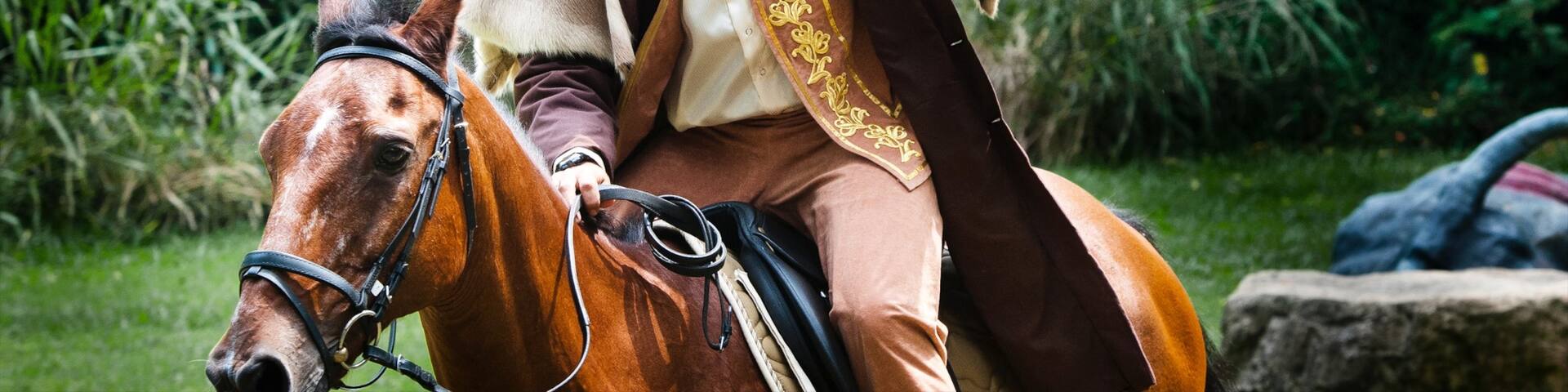 Jurong Bird Park featuring cuddly or friendly animals, horseriding and zoo animals