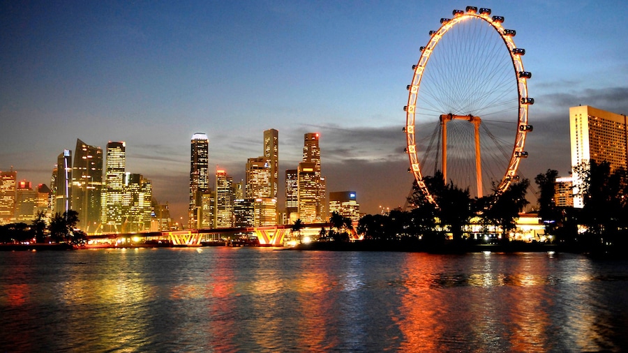 Singapore Flyer som visar nattliv, en skyskrapa och en hamn eller havsbukt