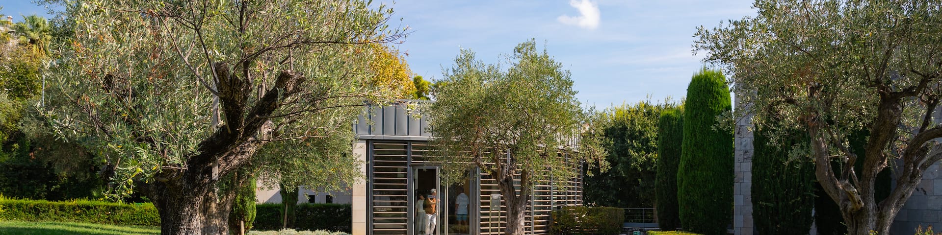 Marc Chagall National Museum showing a garden