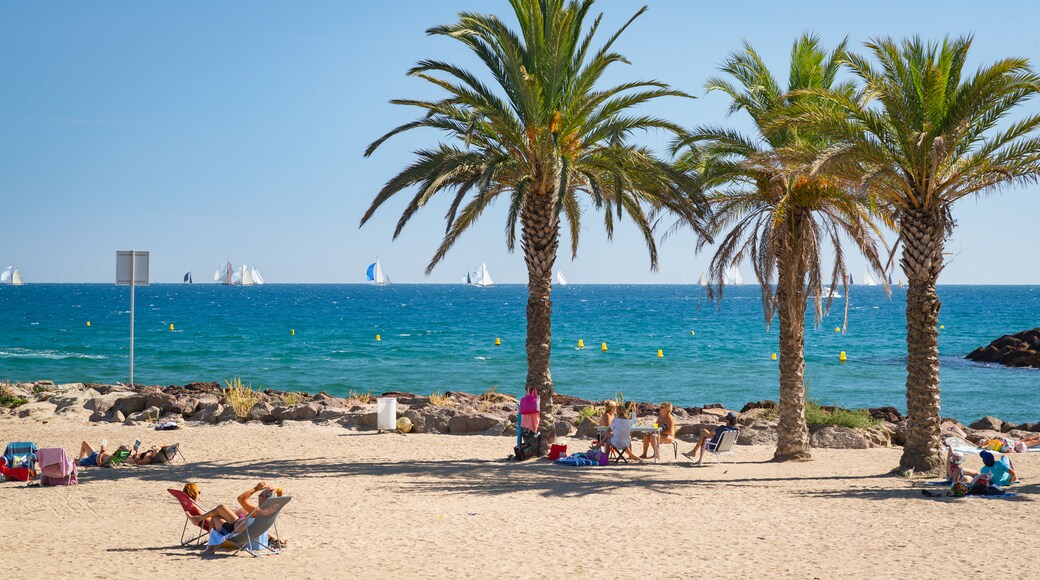 Robinson Beach featuring tropical scenes, general coastal views and a beach