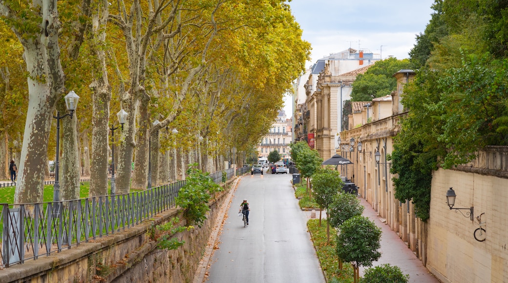 Quartiers des Beaux Arts et Boutonnet