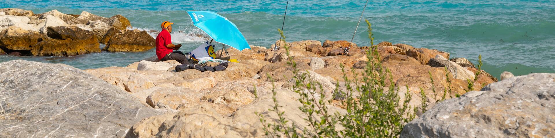 La Californie featuring general coastal views and rugged coastline