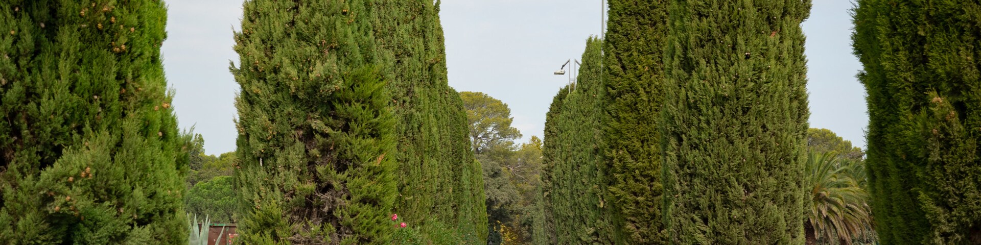 Millenaire, Montpellier, Hérault, France