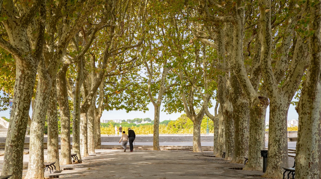 La Promenade du Peyroun esplanadi