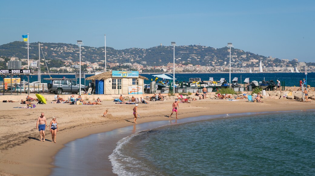 Plage des dauphins