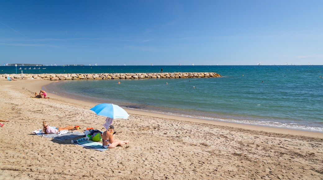 Dauphins Beach