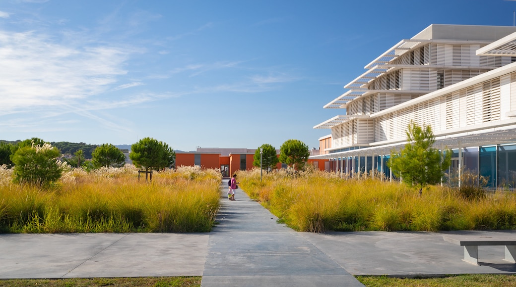 Hospital de Cannes