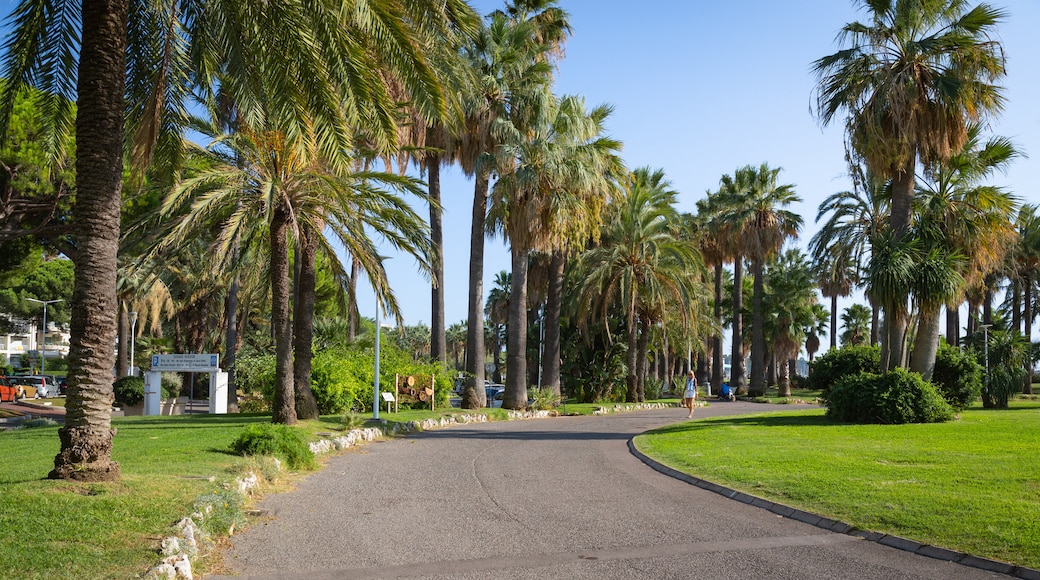 Pointe Croisette