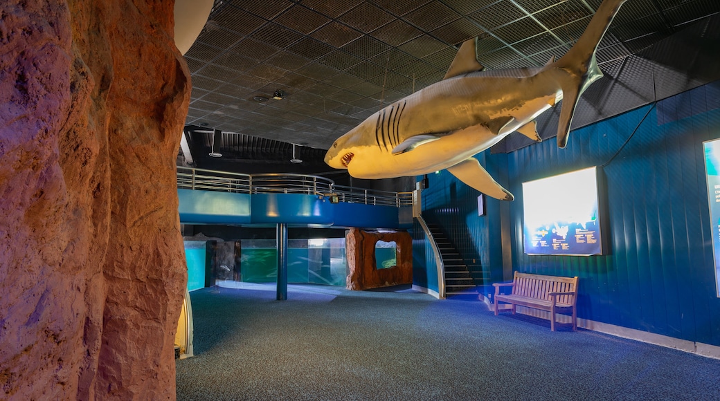 Espace Marineland