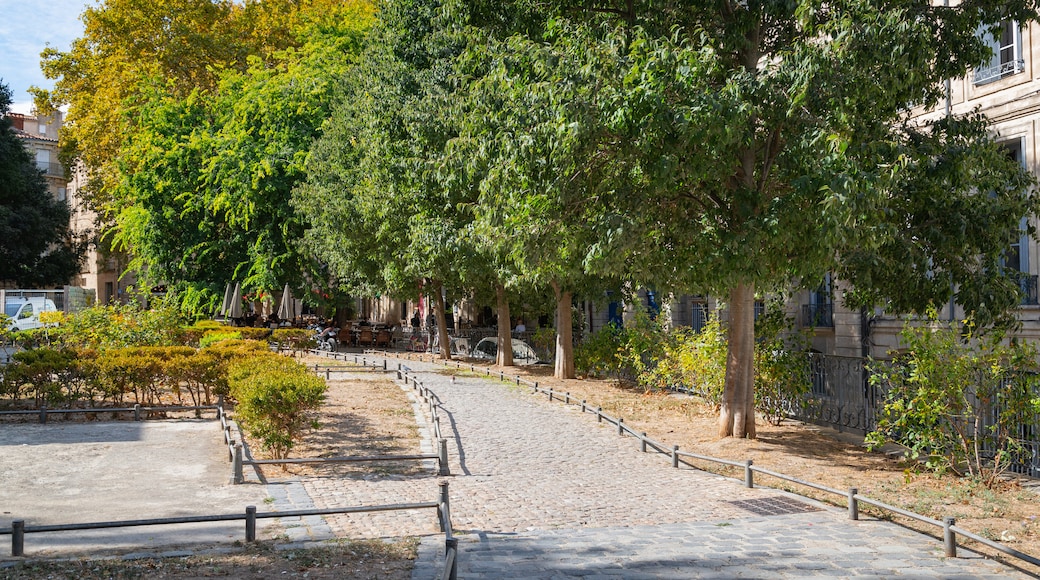 Place de la Canourgue