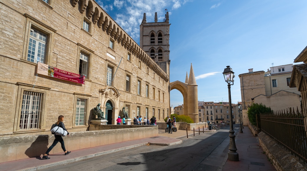 Facultad de Medicina de Montpellier