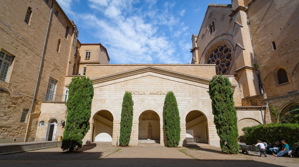 Facultad de Medicina de Montpellier