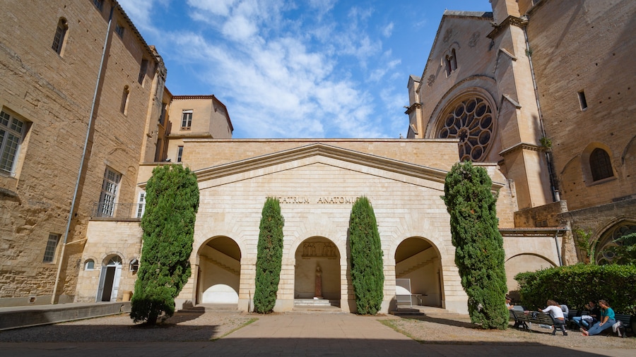 Université de Montpellier I - Faculté de Médecine