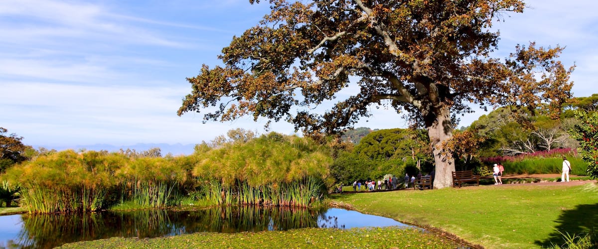 Jardin botanique national Kirstenbosch
