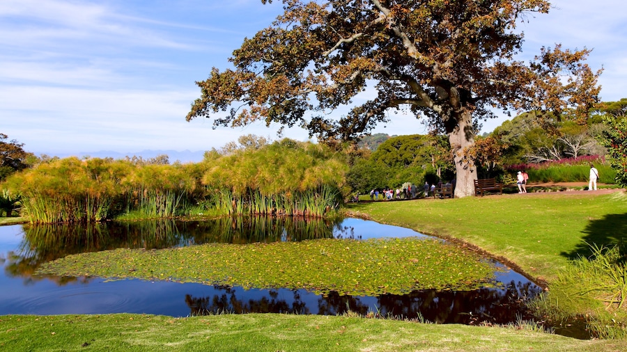 Kirstenbosch National Botanical Garden which includes landscape views, a garden and a pond