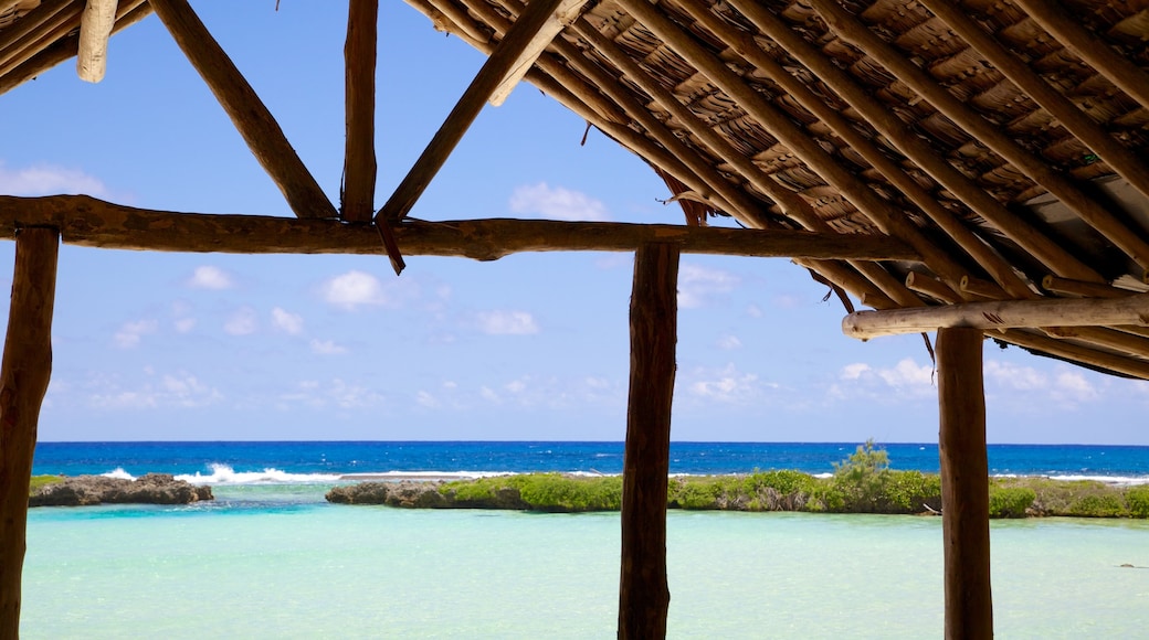 Eton caratteristiche di paesaggio tropicale e vista della costa