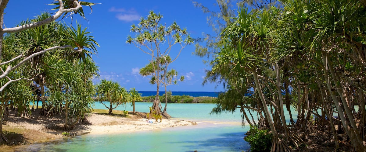 Port Vila que incluye vistas de paisajes, escenas tropicales y una playa