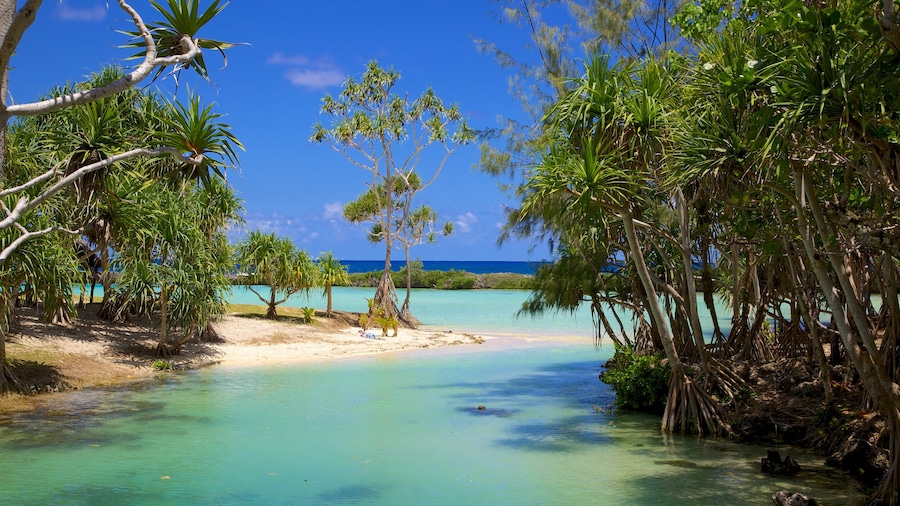 Port Vila que incluye vistas de paisajes, escenas tropicales y una playa