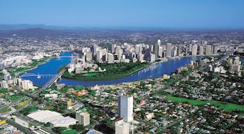 Toowong mostrando città e casa a torre