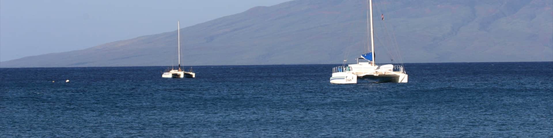 Kapalua Beach featuring tropical scenes