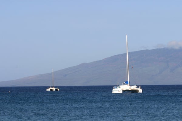 Kapalua Beach showing tropical scenes