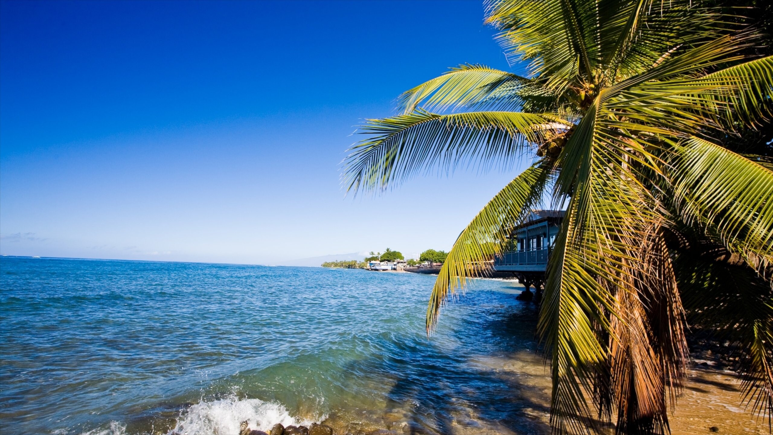 The 10 Best Hotels In Upcountry Maui Hawaii For 2019 Expedia The 10 Best Hotels In Upcountry Maui Hawaii For 2019 Expedia