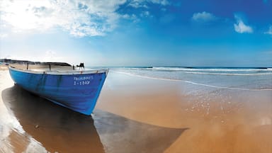 Agadir which includes a beach, landscape views and skyline