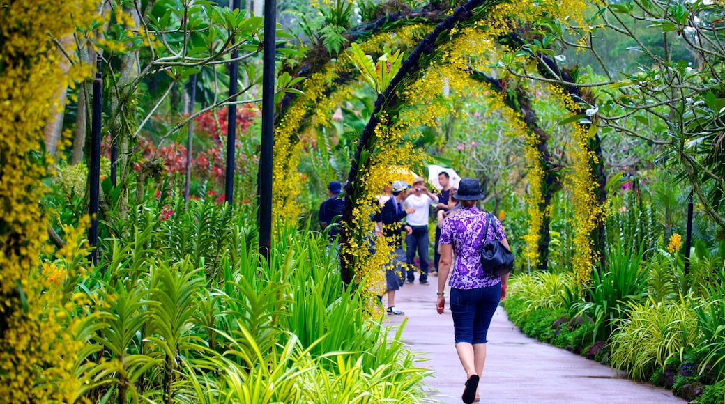 國家胡姬公園 其中包括 花園 以及 一名女性