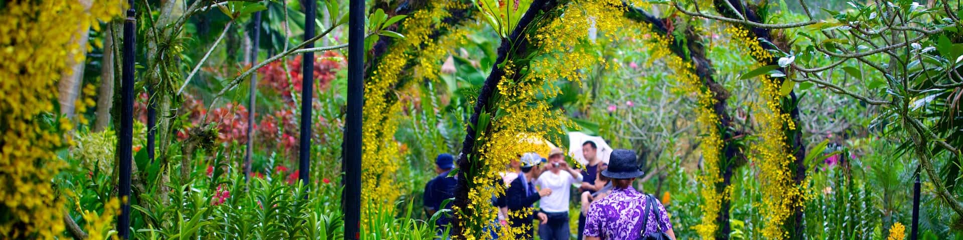 National Orchid Garden which includes a park as well as an individual female