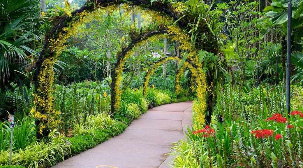 National Orchid Garden showing a park