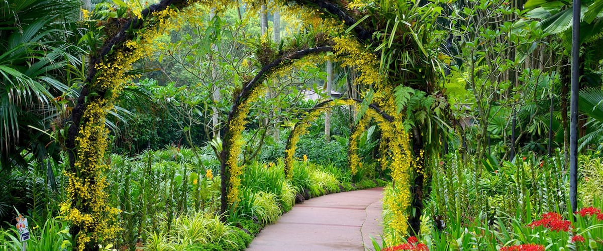 National Orchid Garden showing a garden