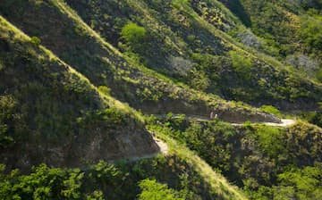 ダイヤモンドヘッド ダイアモンド ヘッド カパフル セント ルイス エクスペディア